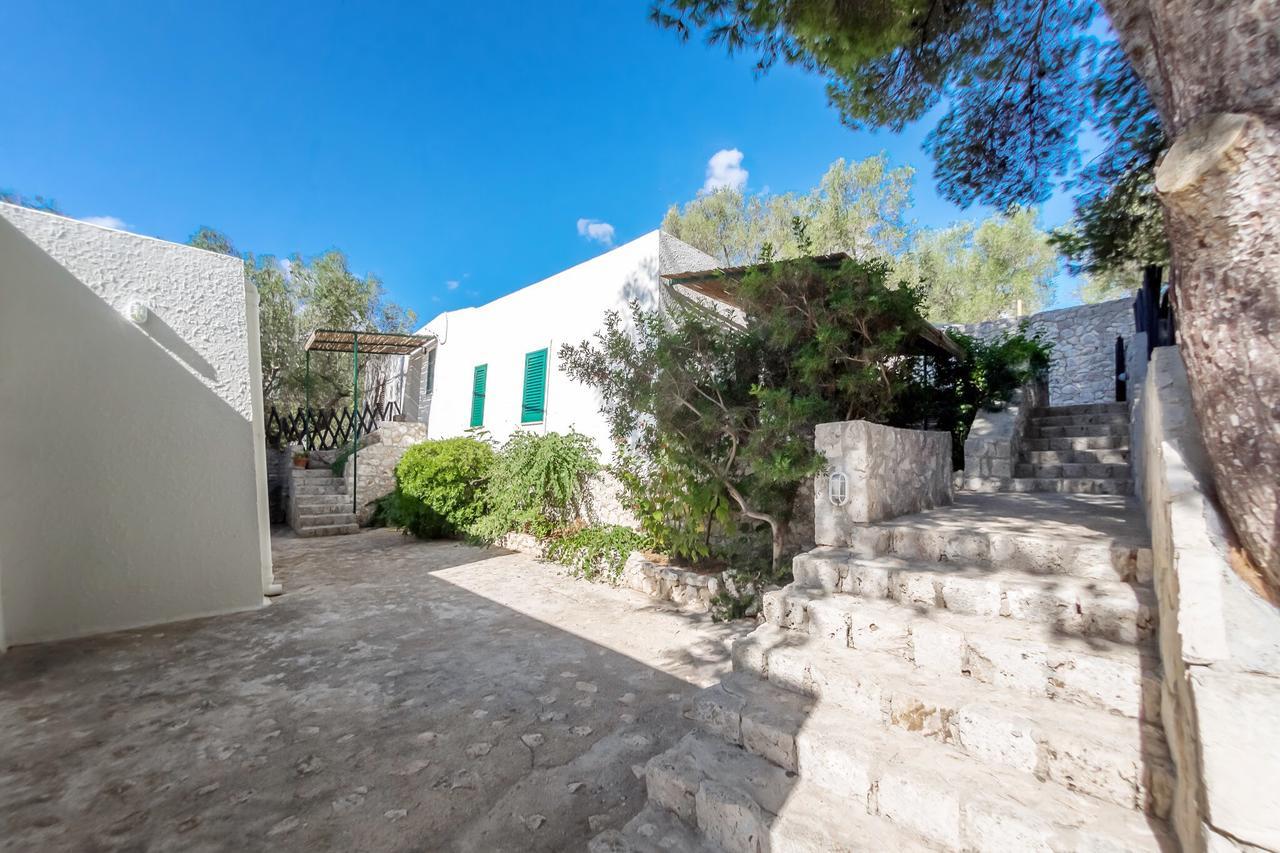 Castro Residenza La Cicala公寓 外观 照片